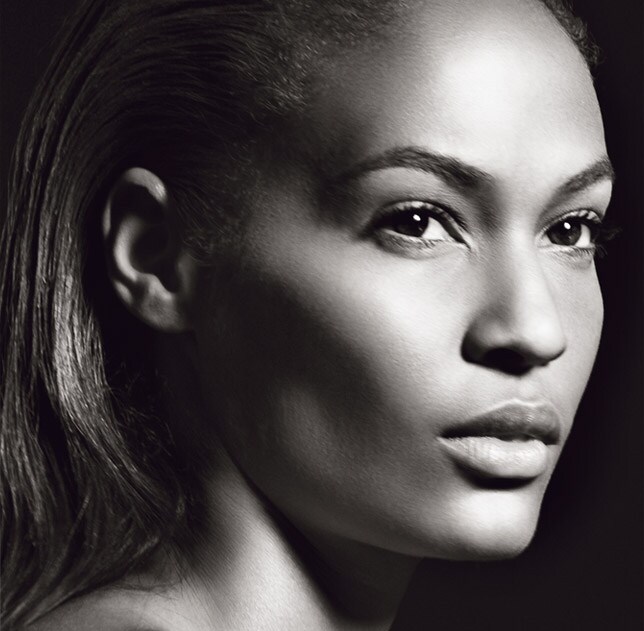 Highlight & Contour